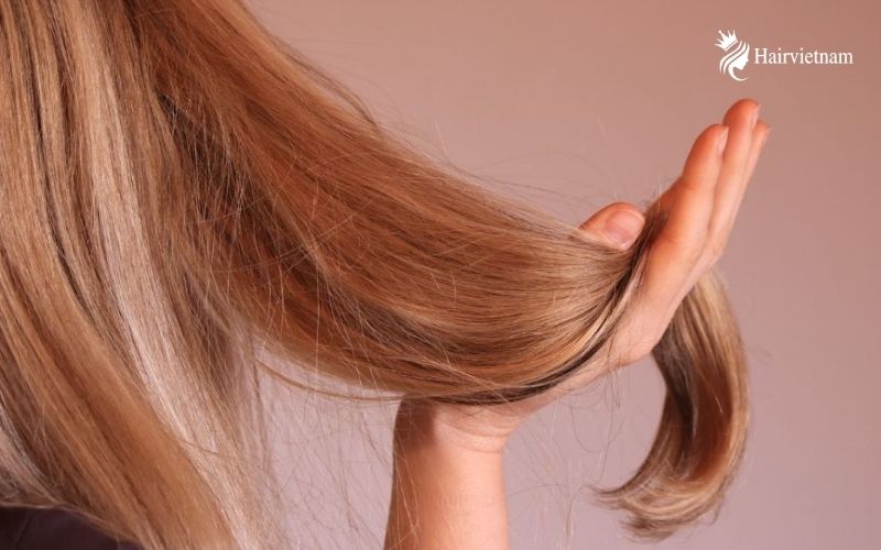Dead Hair vs Healthy Hair Everything You Need to Know
